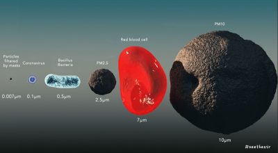 Particle Sizes