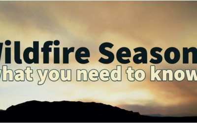 Wildfire Season